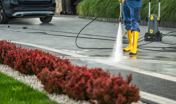 Best Pool Deck Cleaning  in Sour Lake, TX