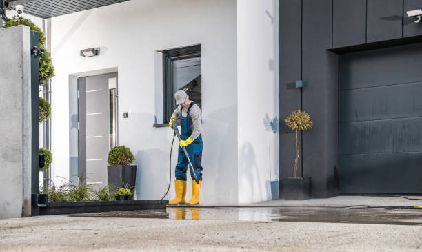 Best House Exterior Washing  in Sour Lake, TX